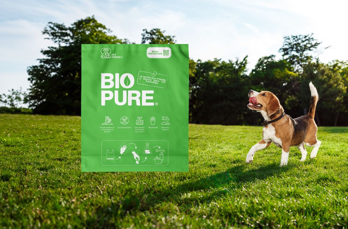 eco friendly pets pet dogs cats park environment