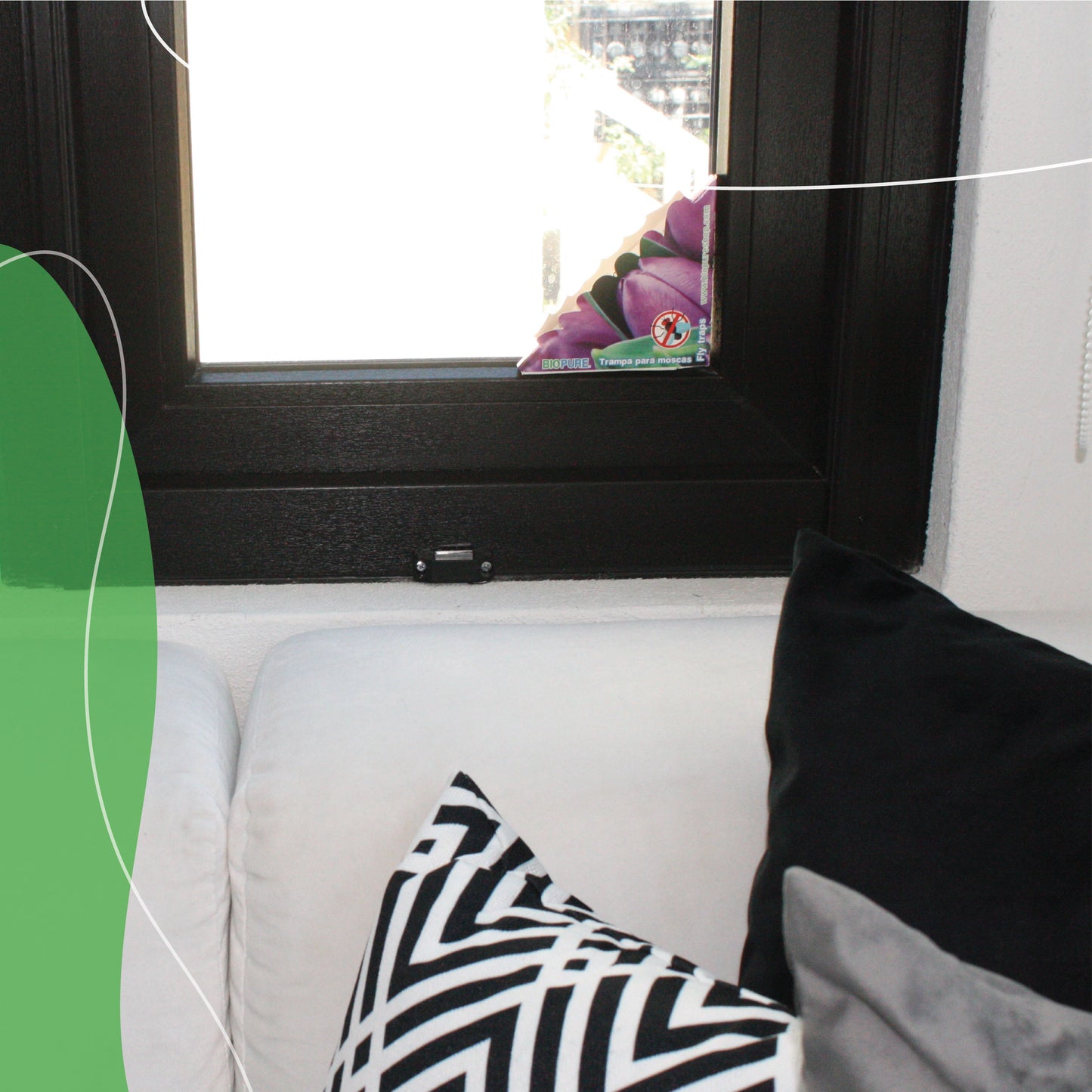 Kit de trampas de pegamento para moscas - No venenoso -  100% Ecológico.