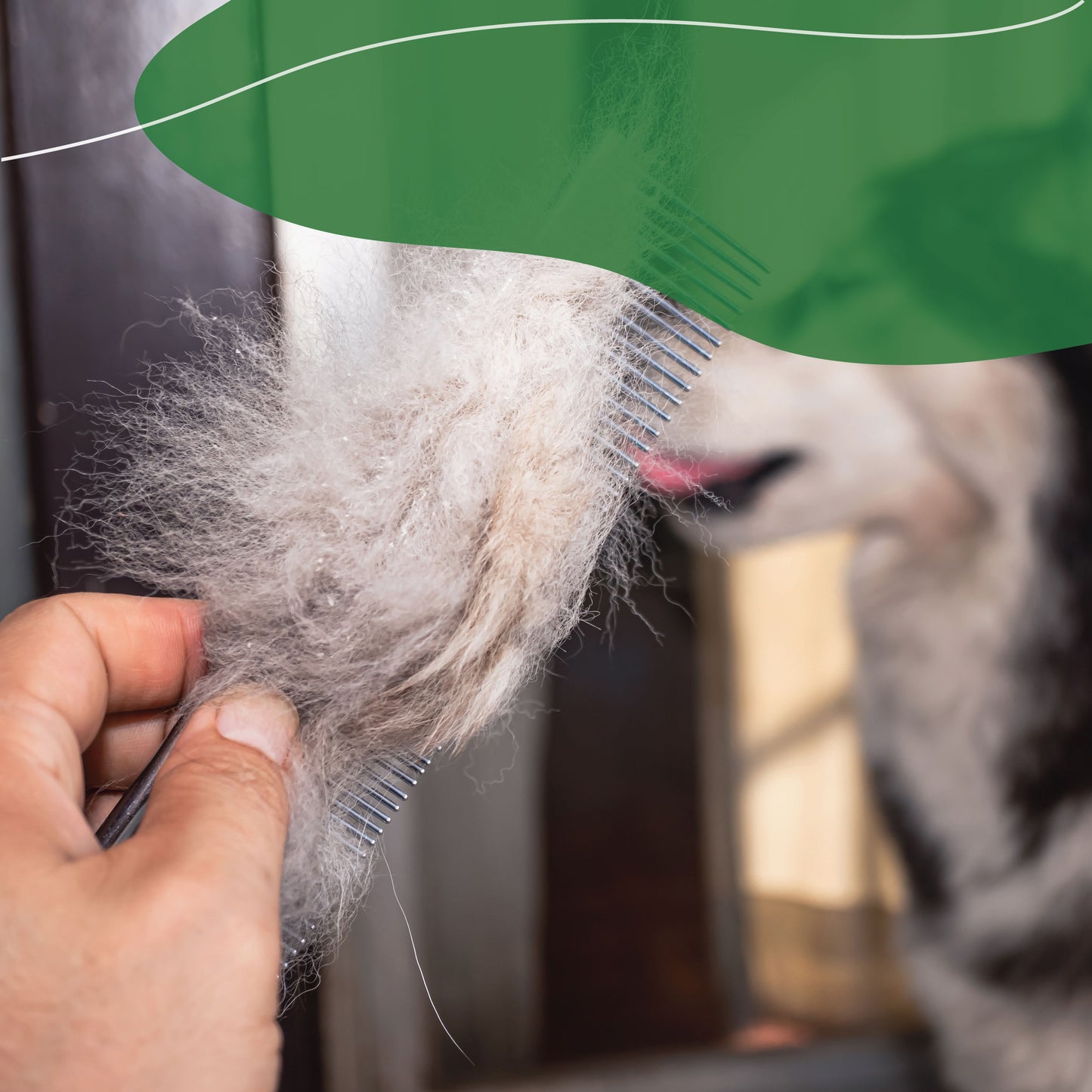 Piedra pómez para limpiar el baño y parrilla - Grill Brick - Pómez - Ideal para parrillas, wc's, lavamanos- Quita callos - Hecha de vidrio 100% reciclado.