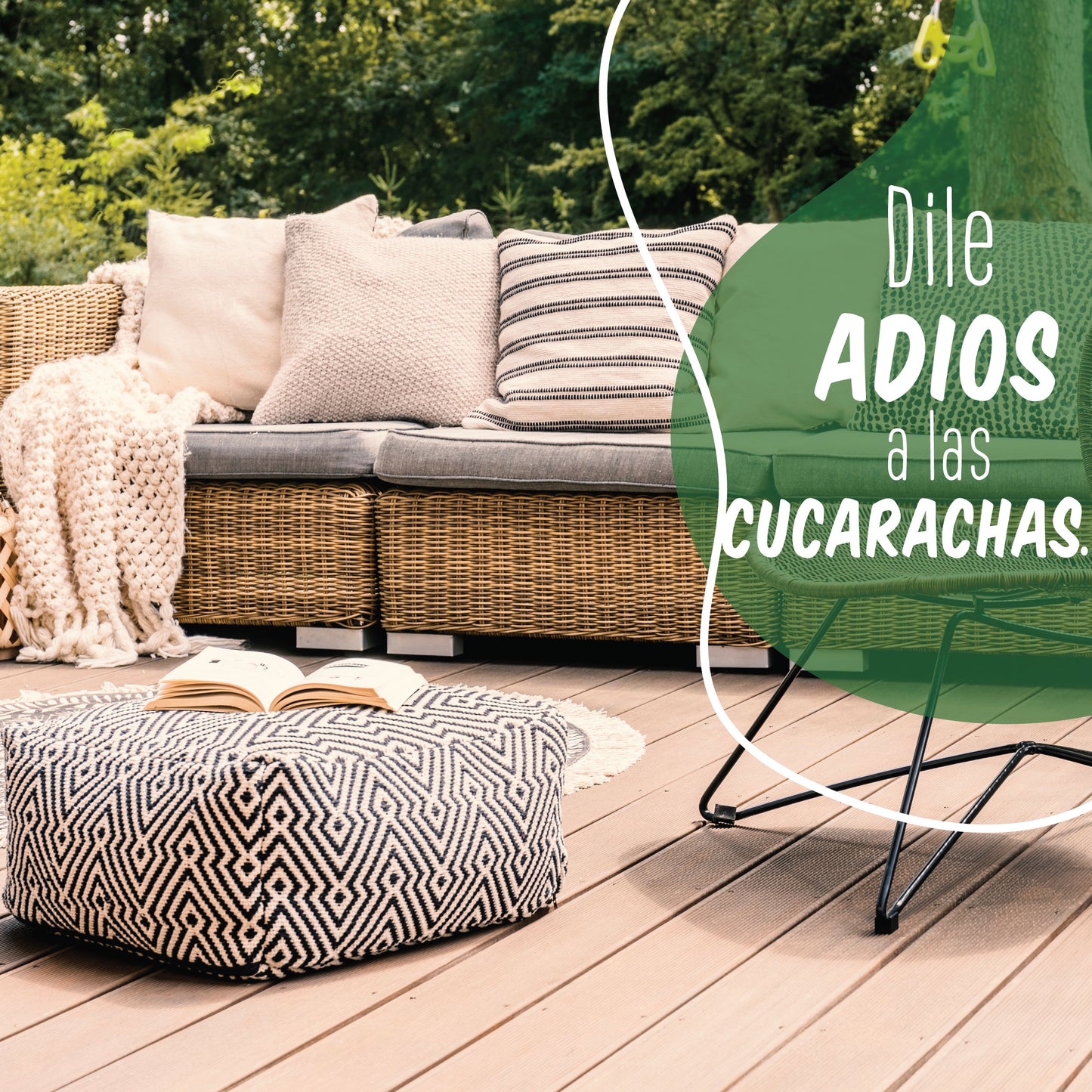 Kit de trampas de pegamento para cucarachas - No venenoso - 100% Ecológico.