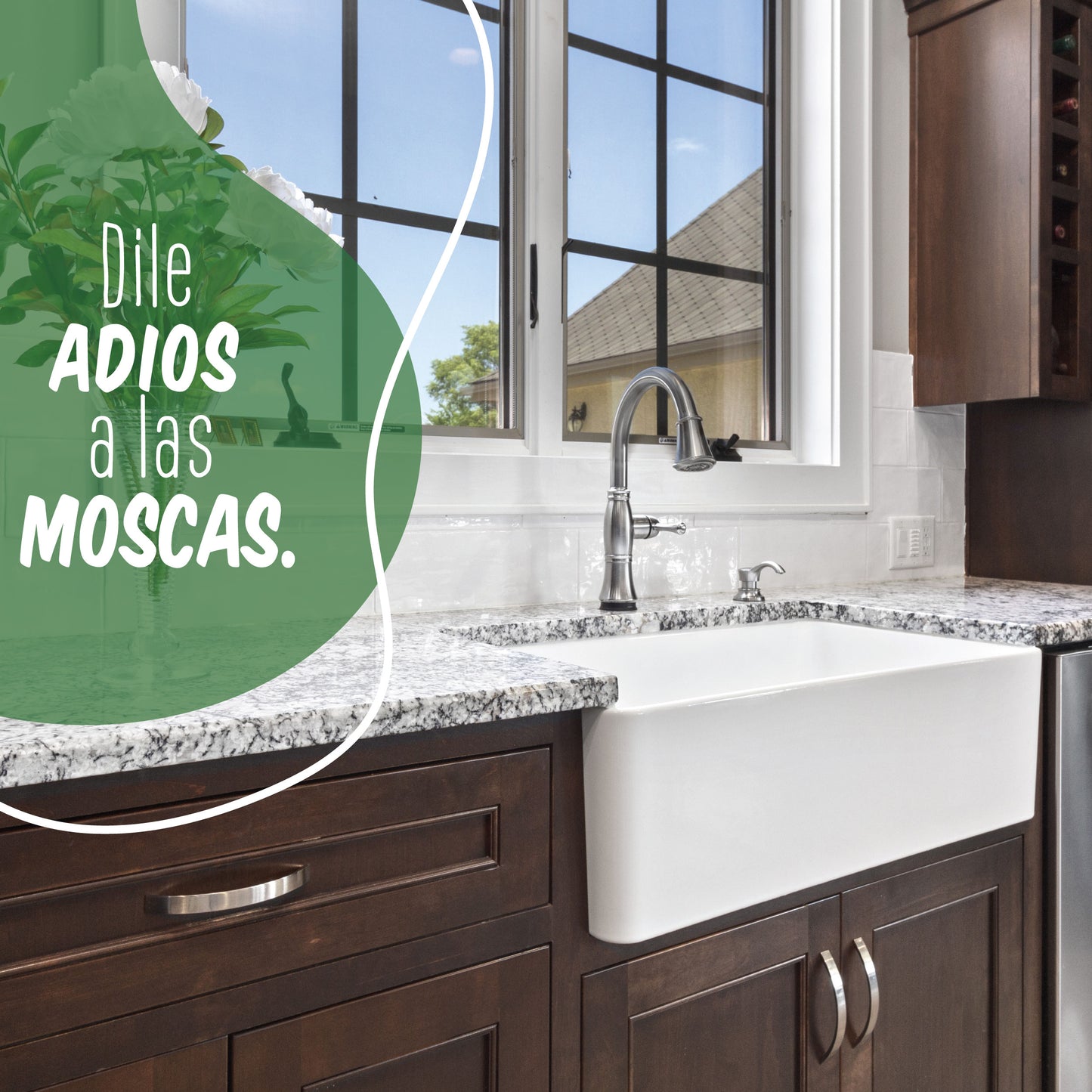 Kit de trampas de pegamento para moscas - No venenoso -  100% Ecológico.