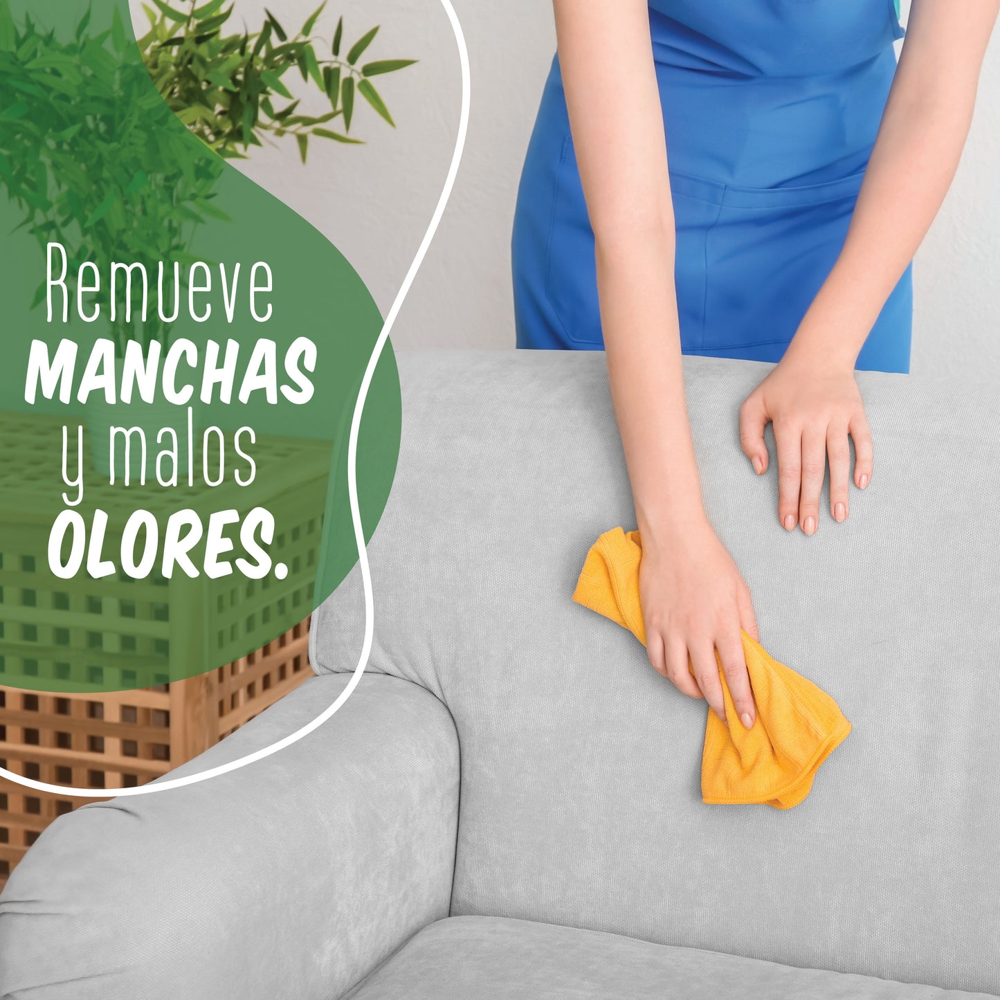 Tratamiento quitamanchas y malos olores en textiles - Orina, vómito, sudor y mugre - Ideal para ropa, sábanas, tapetes, muebles, asientos de coche, etc. - Acción 100% Biológica.
