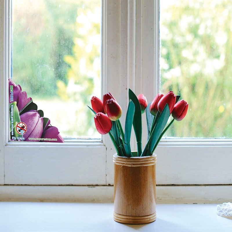 Kit tde trampas de pegamento para moscas 2. PACK  BIOPURE 100% Ecológico y seguro para niños y mascotas