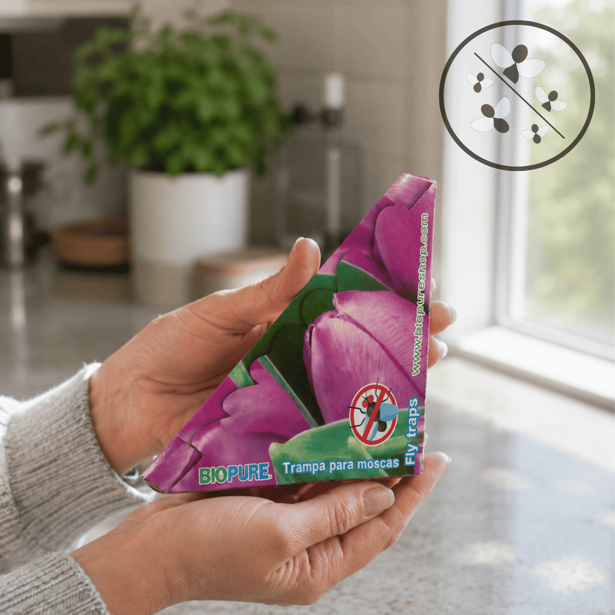 Kit de trampas de pegamento para moscas - No venenoso -  100% Ecológico.