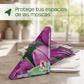 Kit de trampas de pegamento para moscas - No venenoso -  100% Ecológico.