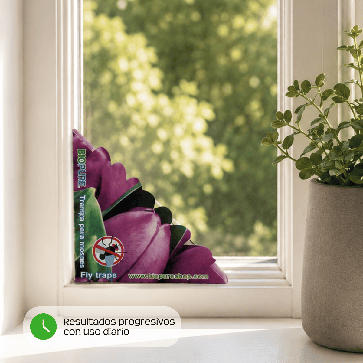 Kit de trampas de pegamento para moscas - No venenoso -  100% Ecológico.