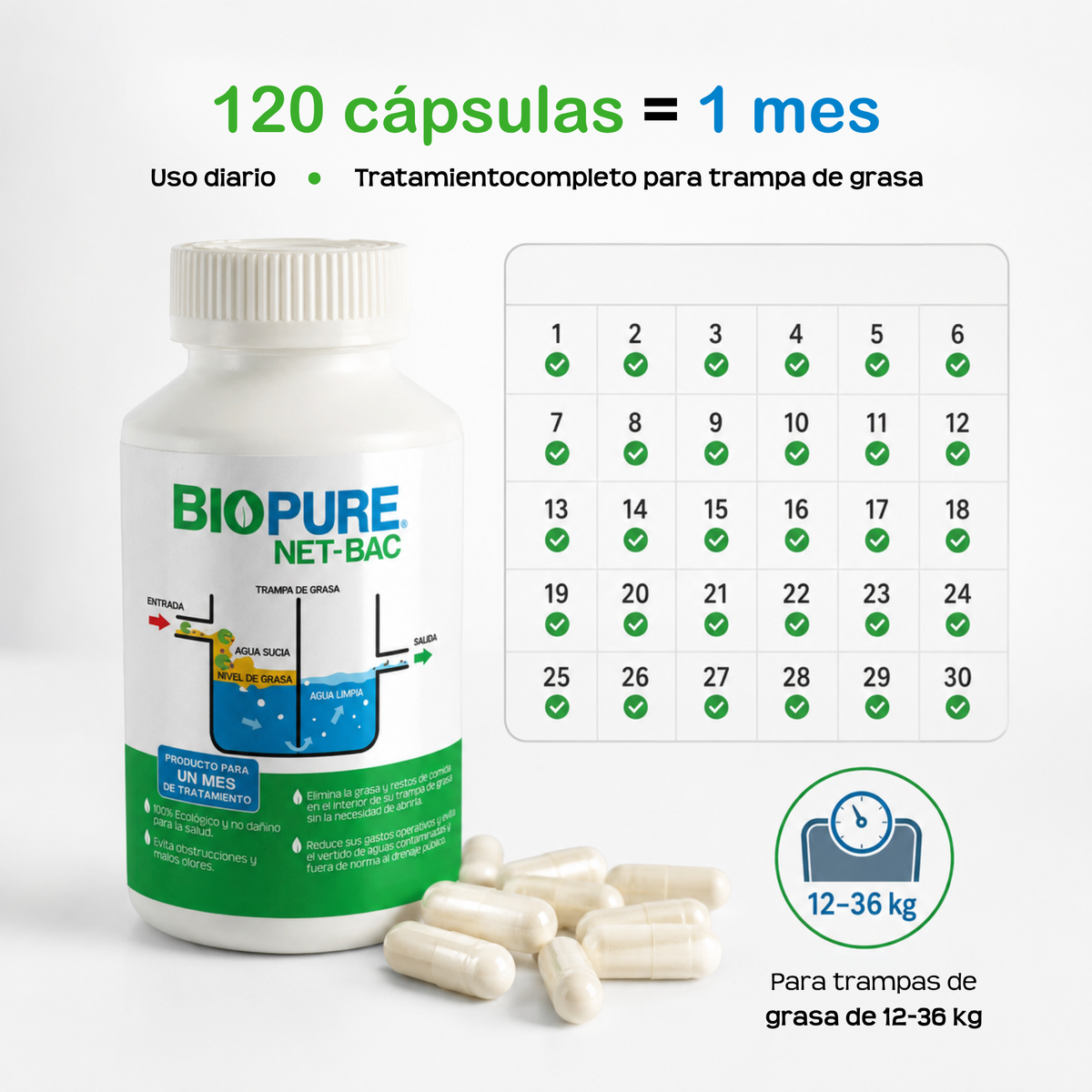 Tratamiento contra malos olores en trampas de grasa de 12 a 36 kg - BIOPURE NET-BAC - 100% Ecológico.