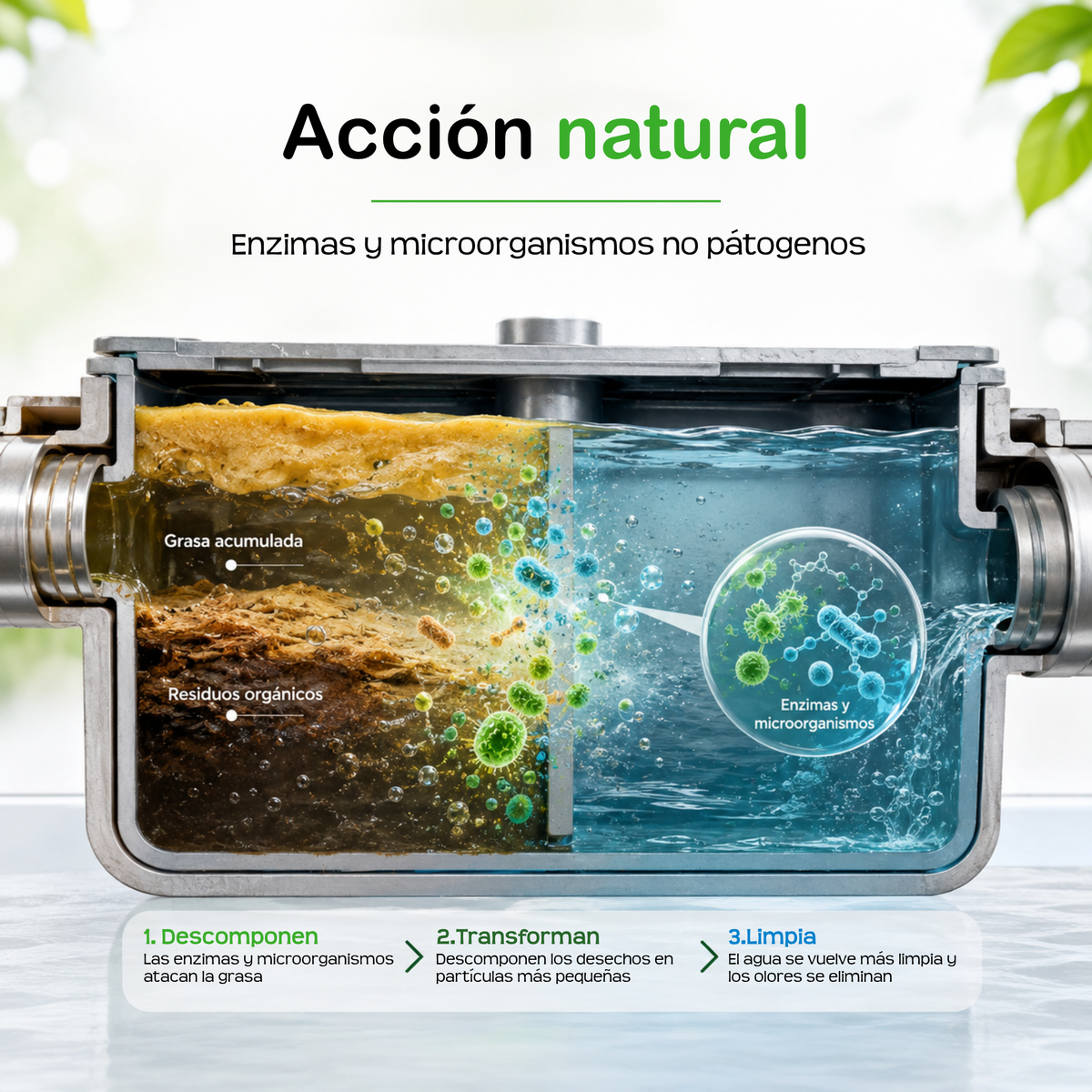 Tratamiento contra malos olores en trampas de grasa de 12 a 36 kg - BIOPURE NET-BAC - 100% Ecológico.