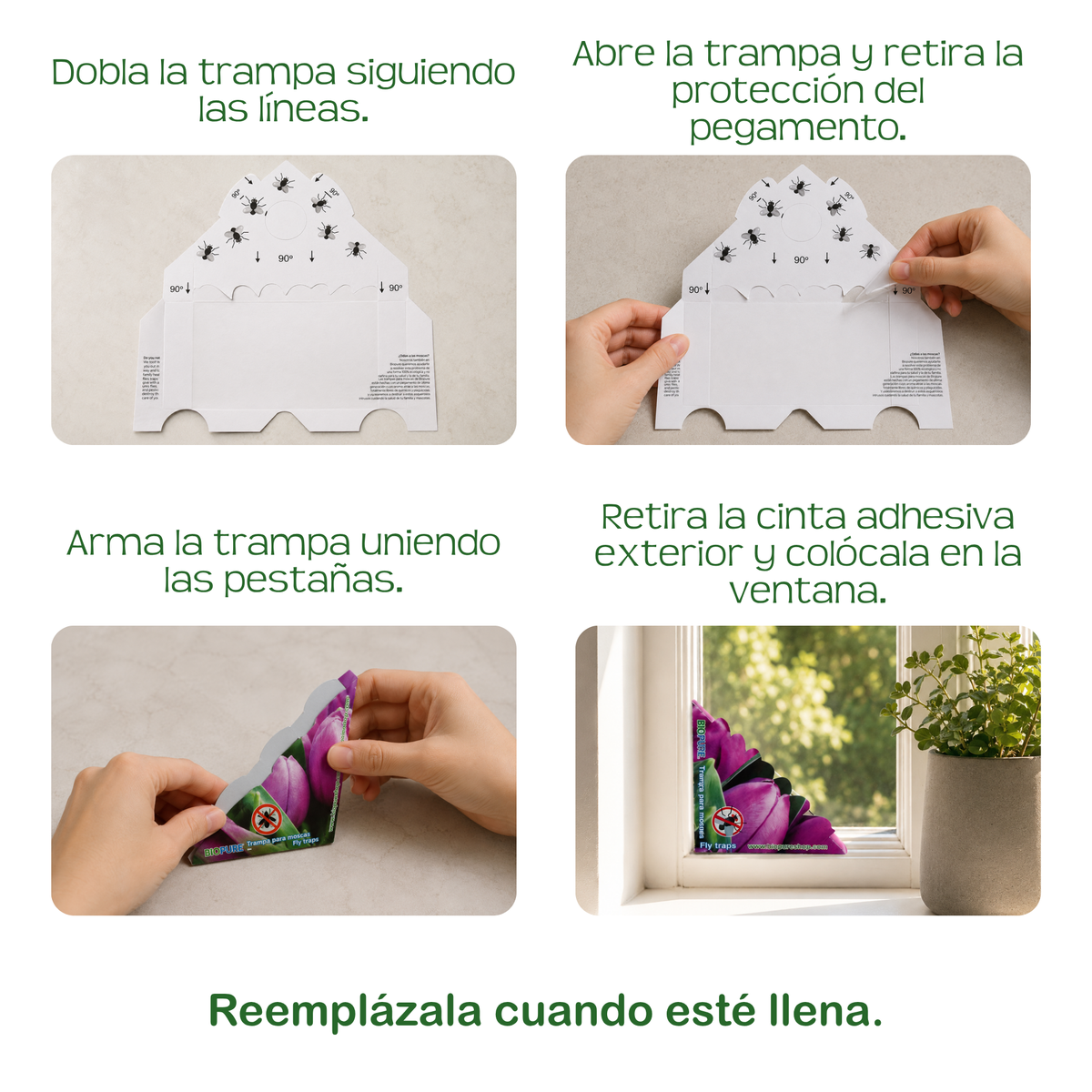 Combo Biostick 12 PACK + Trampas de pegamento para moscas 10 PACK - 100% Ecológico.